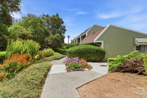 002_F8_163 Harbor Oaks Cir
