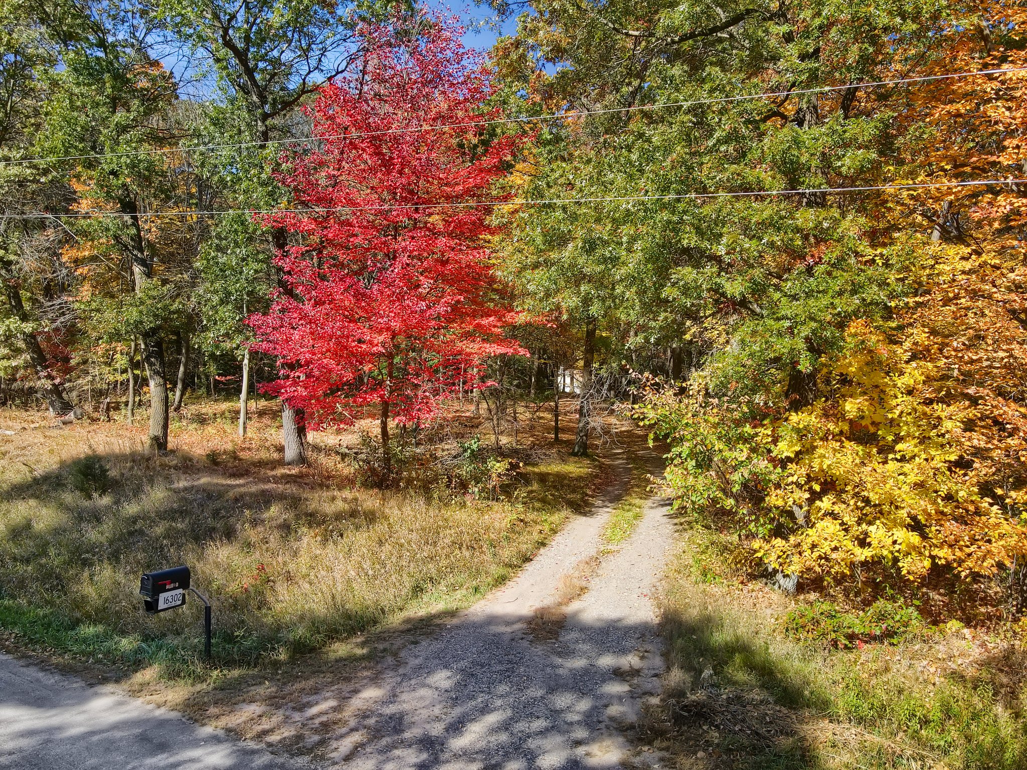 16302 205th Ave NW, Elk River, MN 55330, USA Photo 27