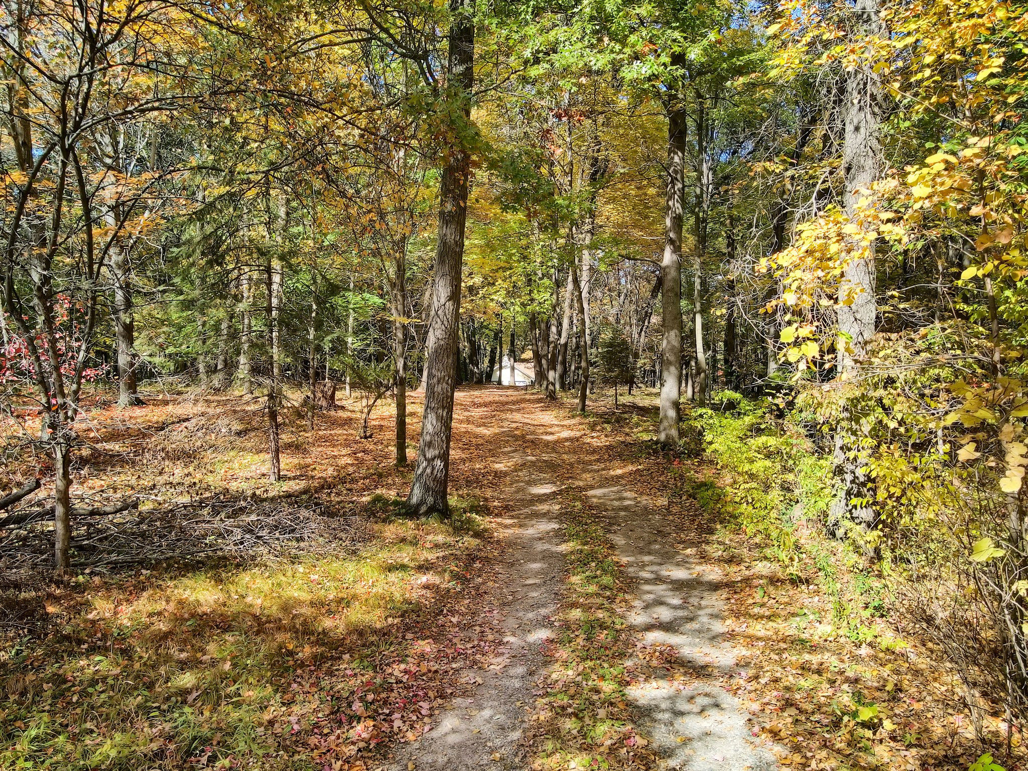 16302 205th Ave NW, Elk River, MN 55330, USA Photo 28