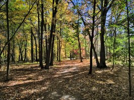 16302 205th Ave NW, Elk River, MN 55330, USA Photo 32