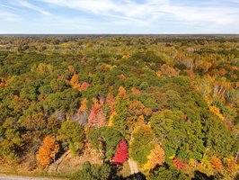 16302 205th Ave NW, Elk River, MN 55330, USA Photo 24