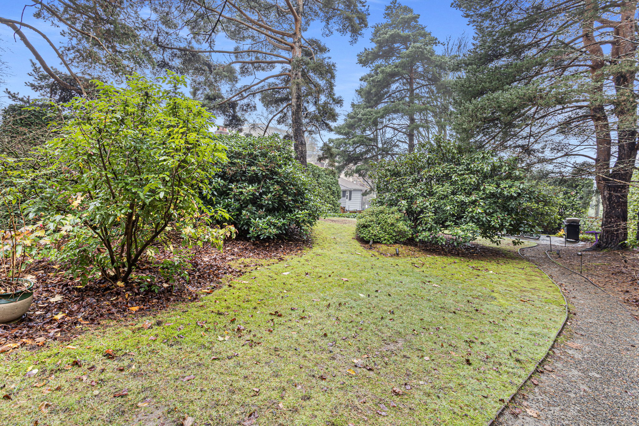 The back garden is an uncommon treasure—a peaceful, shared green space rarely found in the heart of Capitol Hill.