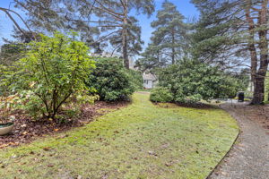 The back garden is an uncommon treasure—a peaceful, shared green space rarely found in the heart of Capitol Hill.