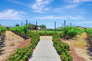 048_1631 Chianti Ln