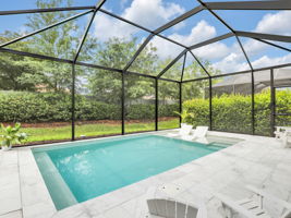 Custom Pool with Sunshelf, surrounded by non-slip Marble, installed in 2023