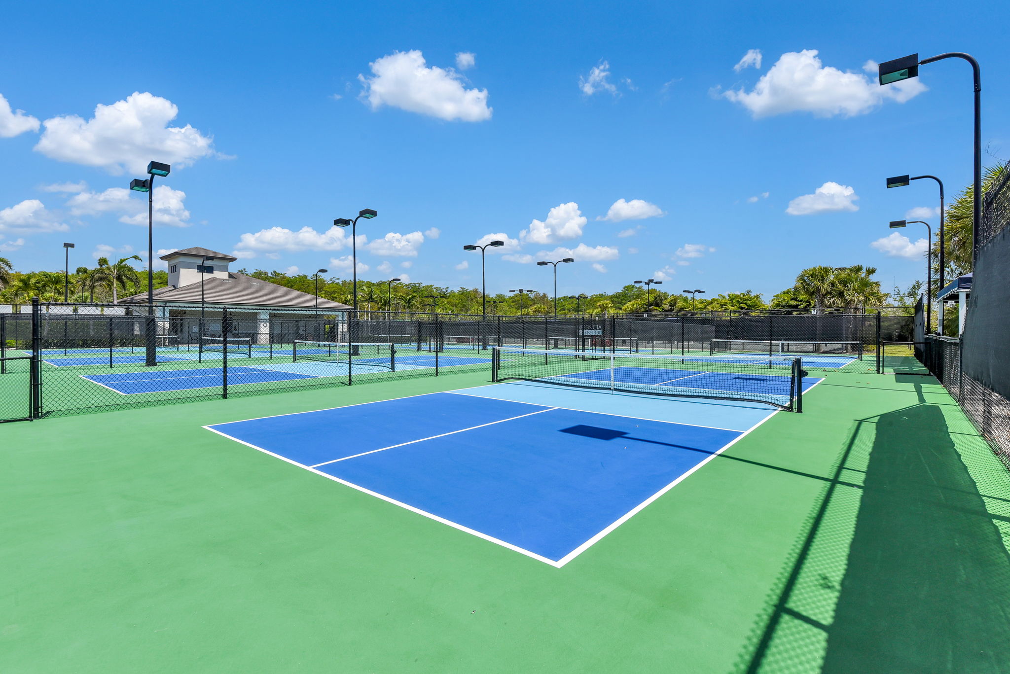 Pickleball