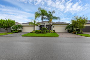 Tropical Landscaping