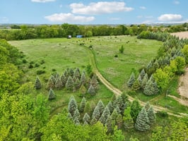 135085 --2805-028.jpg