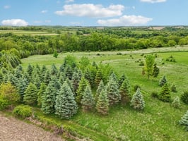 135085 --2805-035.jpg