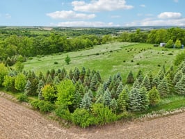 135085 --2805-036.jpg
