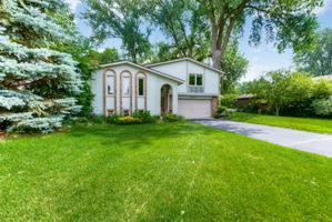 Front Yard
