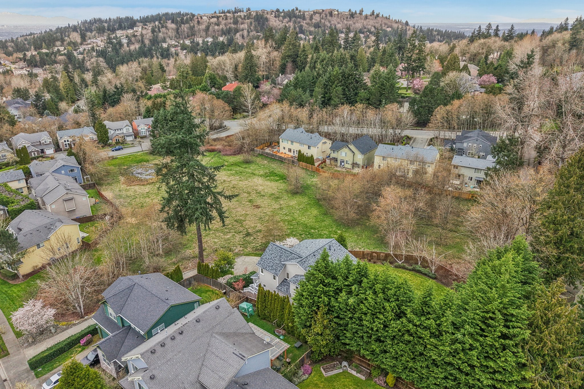 SE 66th St-S2403-056.jpg