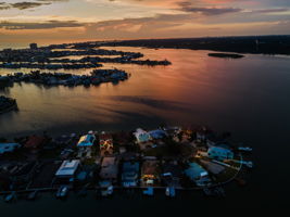 Aerial (50)
