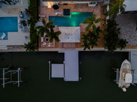 Aerial (54)