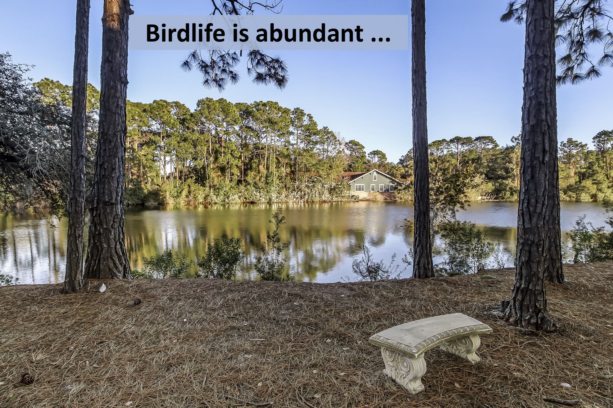 ... with lakes, pocket parks, wooded paths, and abundant birdlife
