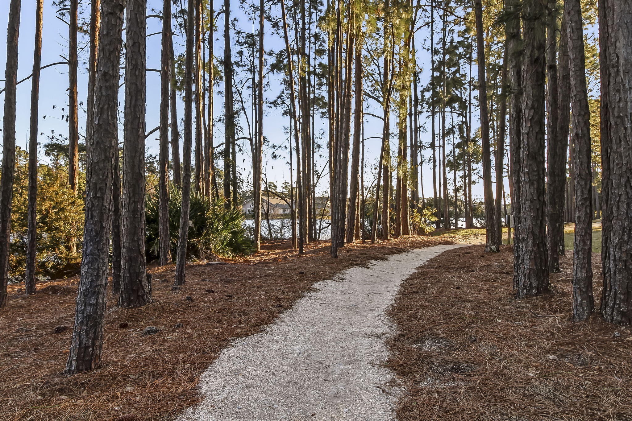 It is a neighborhood designed to feel connected, walkable, and deeply rooted in place ..