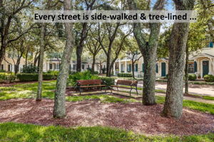 ... where tree-lined, sidewalk-laced streets and more than 50 green spaces create a setting unlike any other on Amelia Island.