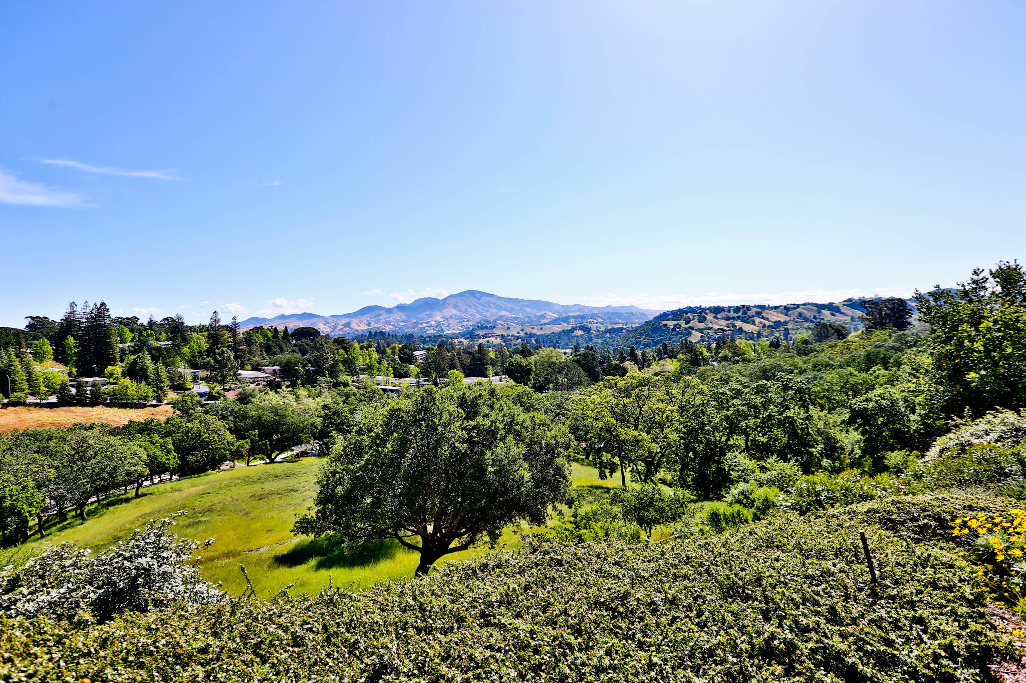 1637 Skycrest Dr, Walnut Creek, CA 94595, USA Photo 23