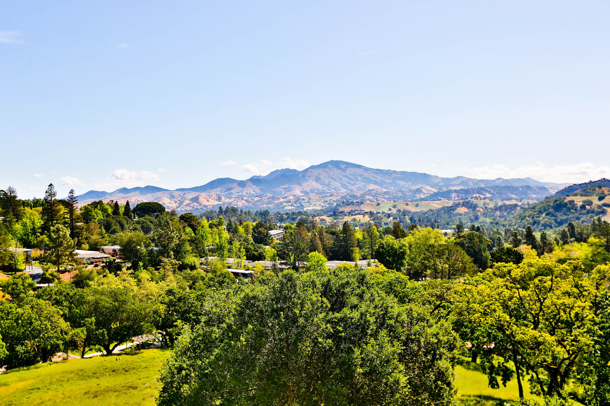 1637 Skycrest Dr, Walnut Creek, CA 94595, USA Photo 24