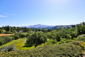 1637 Skycrest Dr, Walnut Creek, CA 94595, USA Photo 22