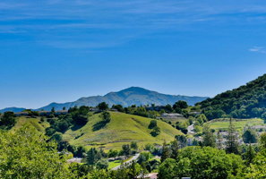 1637 Skycrest Dr, Walnut Creek, CA 94595, USA Photo 34