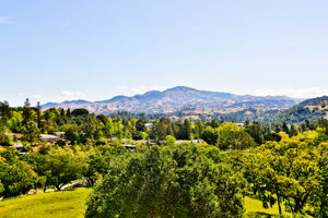 1637 Skycrest Dr, Walnut Creek, CA 94595, USA Photo 23