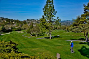 1637 Skycrest Dr, Walnut Creek, CA 94595, USA Photo 30