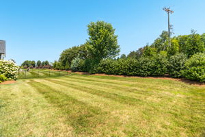 1637 Wisteria Dr-26