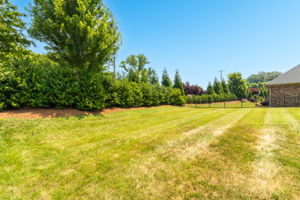 1637 Wisteria Dr-30