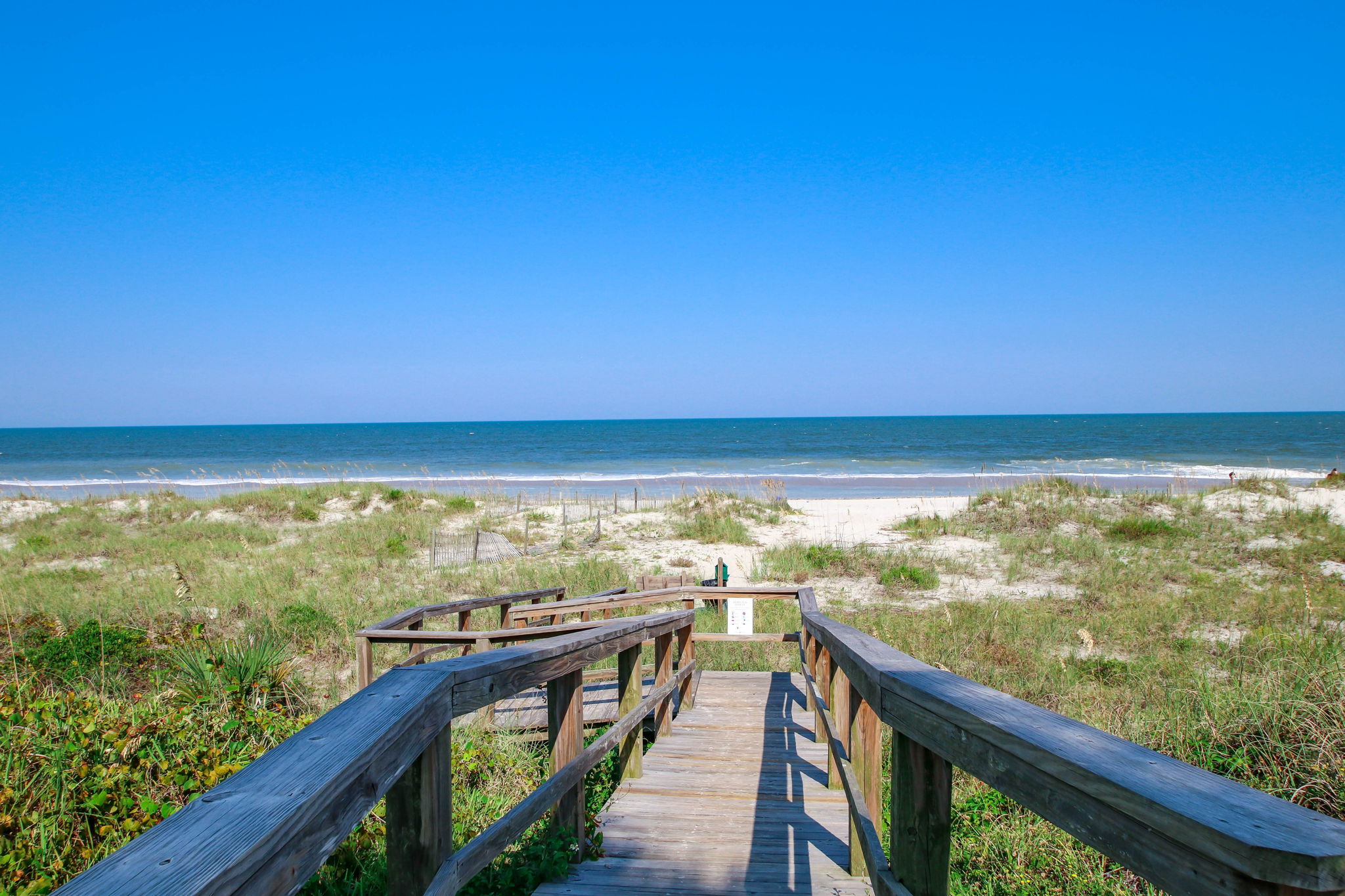 Sea Dunes