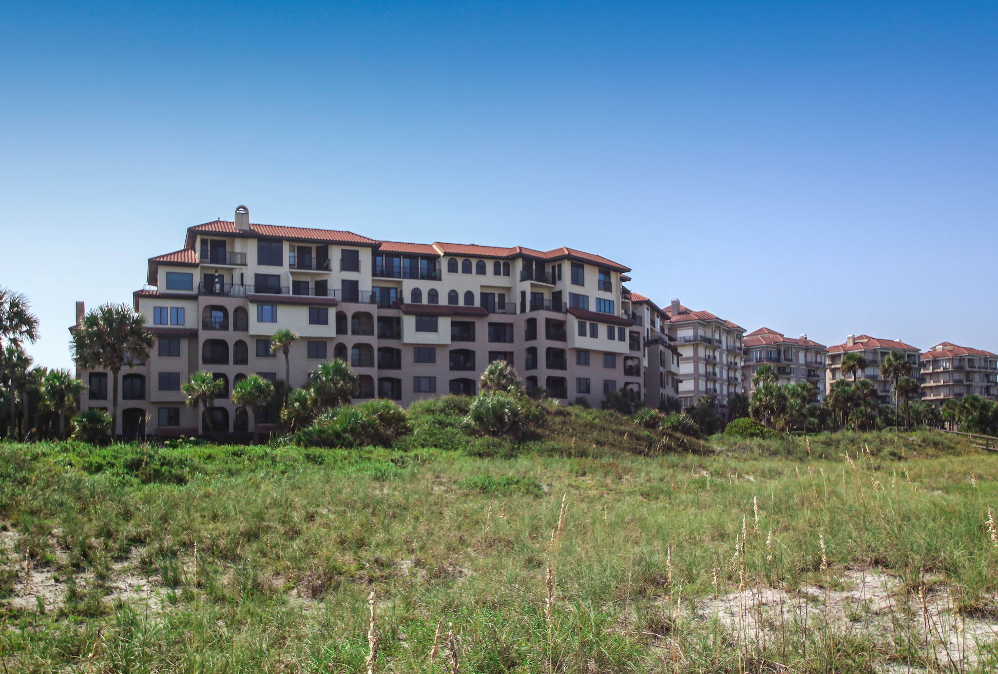 Sea Dunes