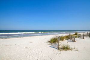 Sea Dunes