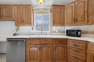 Kitchen Sink w/ view