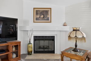 Great Room Fireplace