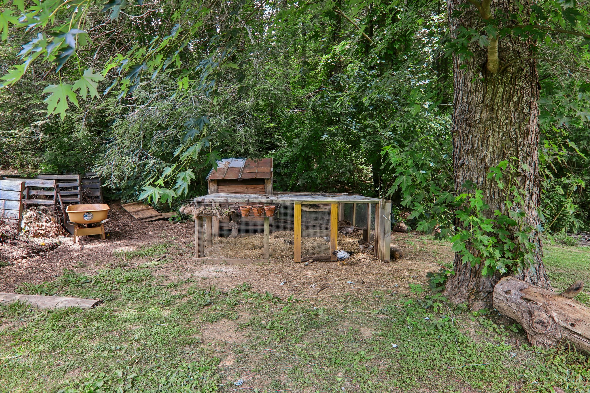 Pegg Rd-S2306-063.jpg