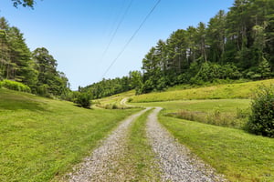 Pegg Rd-S2306-003.jpg