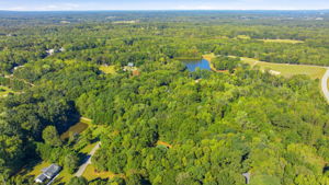 Image-47