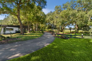  Photo 221