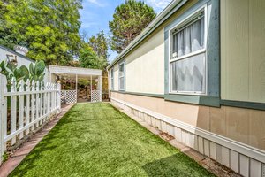 Side Yard