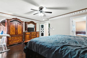  Photo 43
