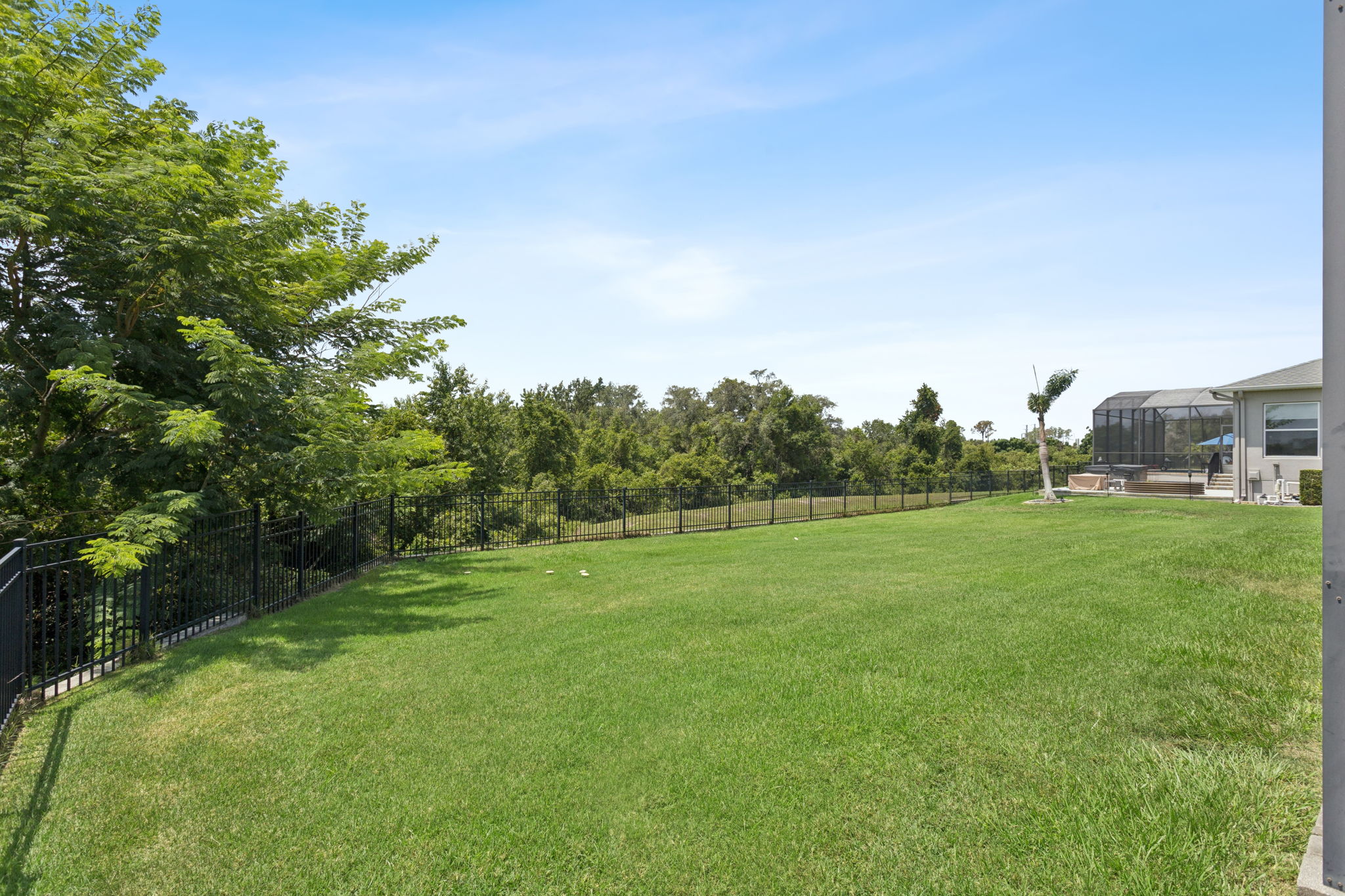  Photo 48