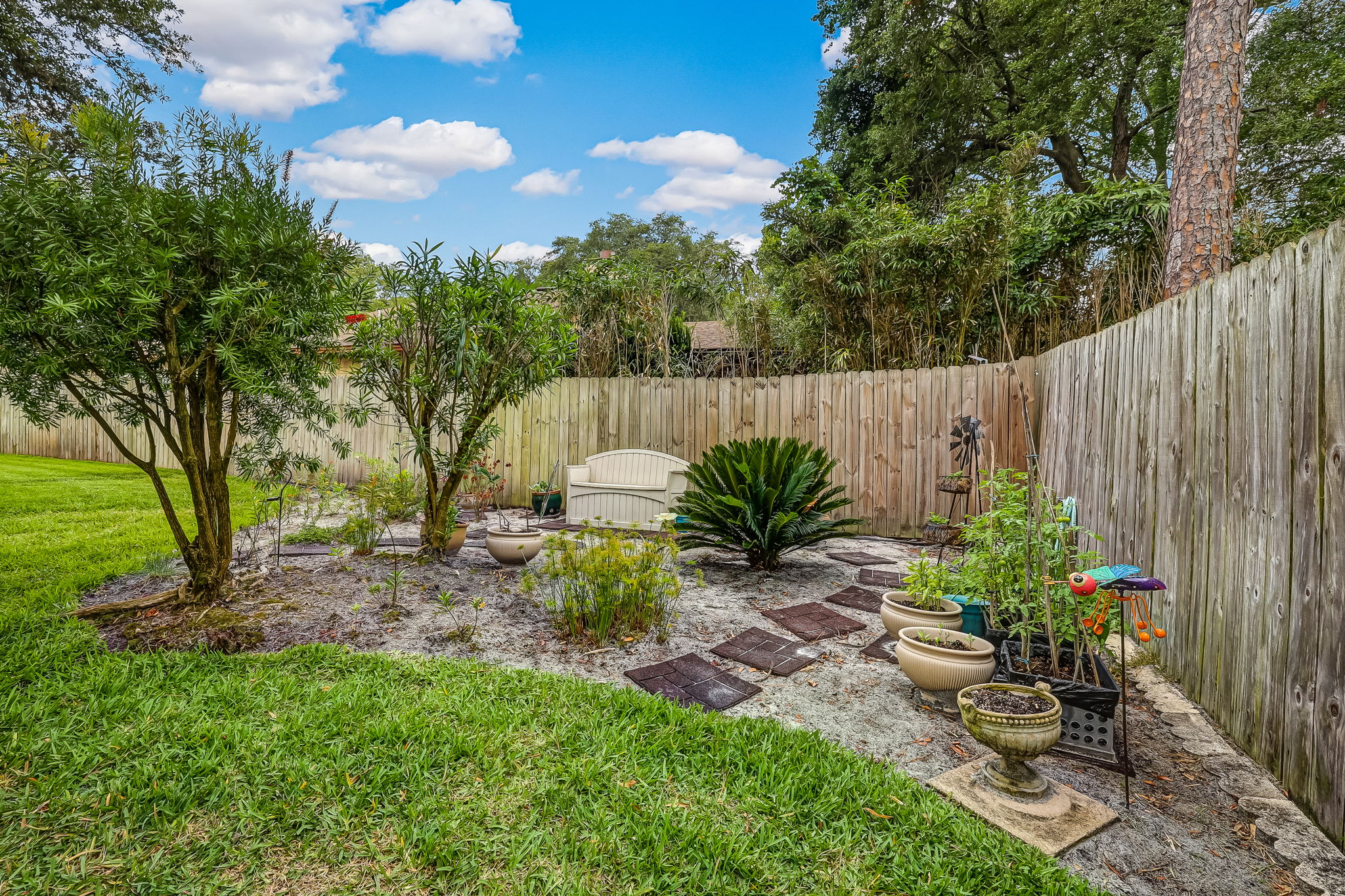 Backyard