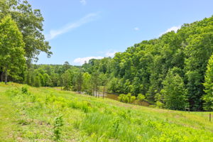 1642 Rhodes Loop -79