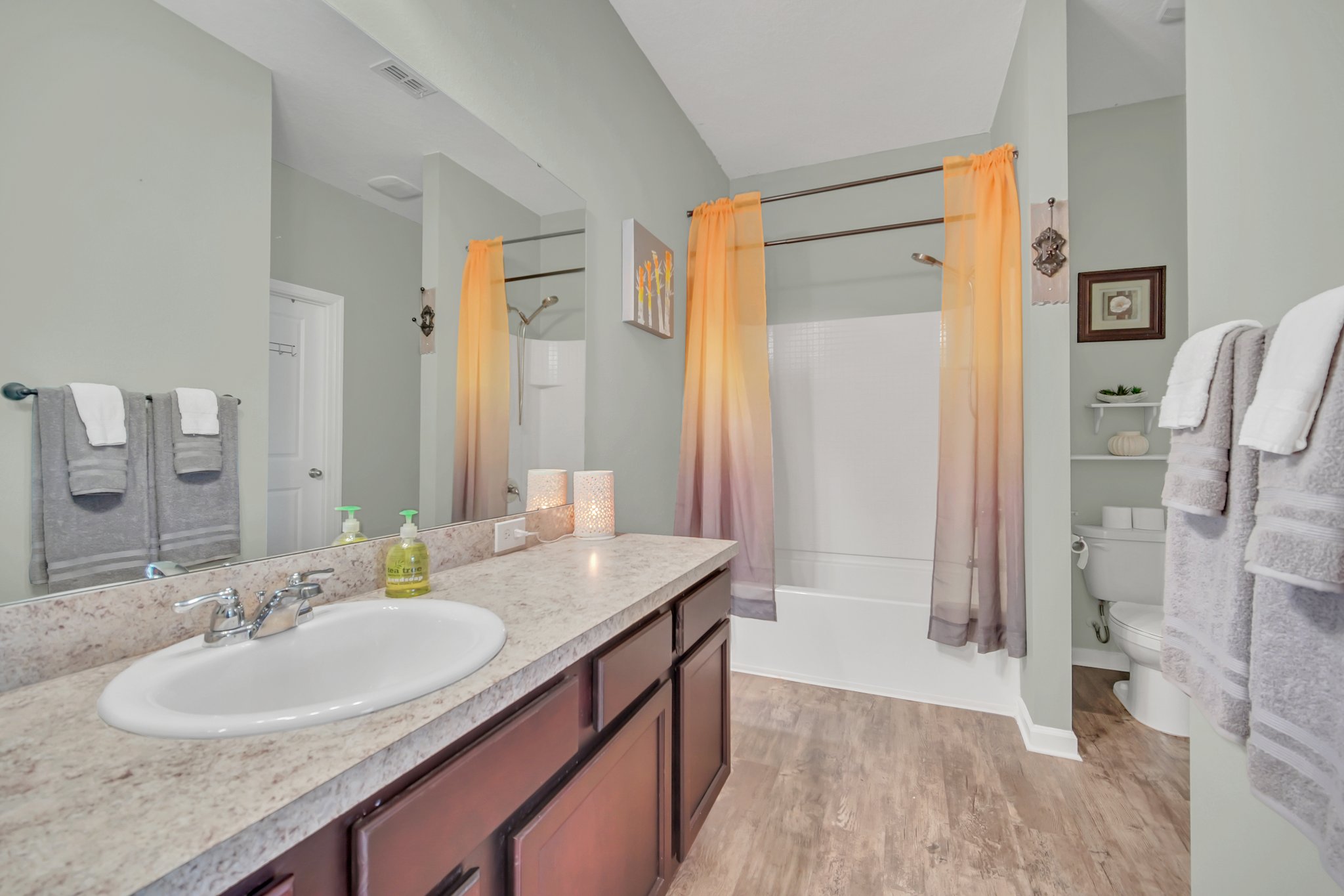 16423 Blooming Cherry Dr, Groveland, FL 34736, USA Photo 18
