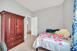 16423 Blooming Cherry Dr, Groveland, FL 34736, USA Photo 19