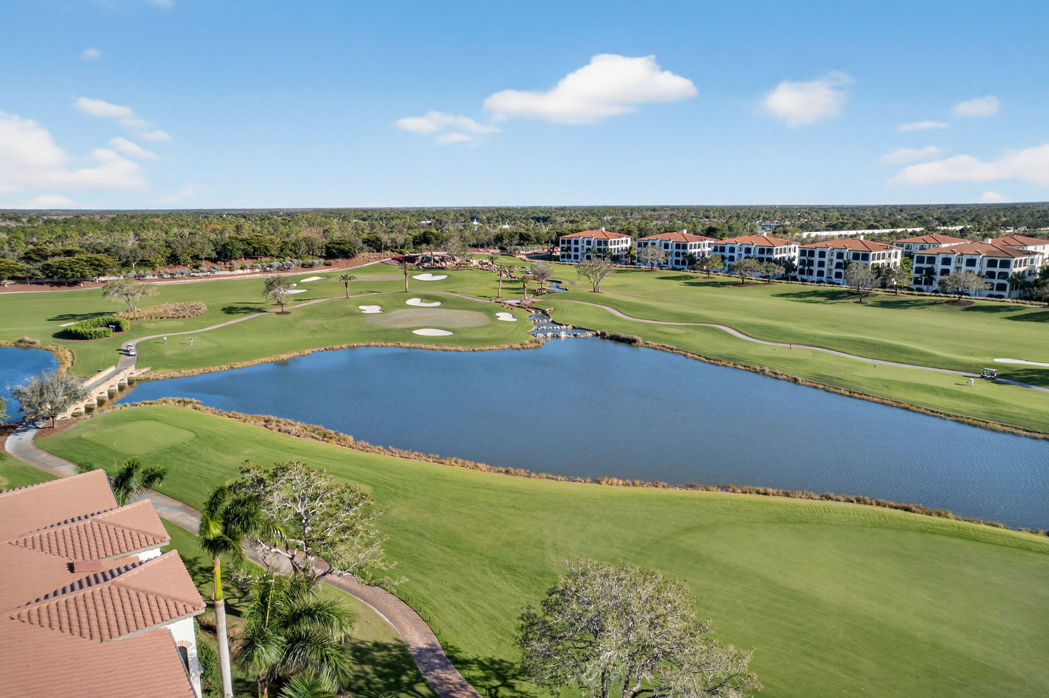 RS - Aerial Rear View 2