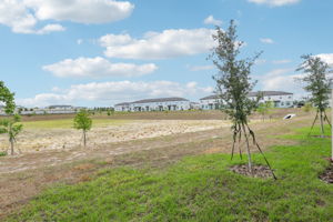 Orlando - Cagan Crossing West - 16434 Bird of Paradise Ave, Four Corners, FL 34714 - 041