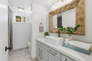 Lower level (basement) bathroom