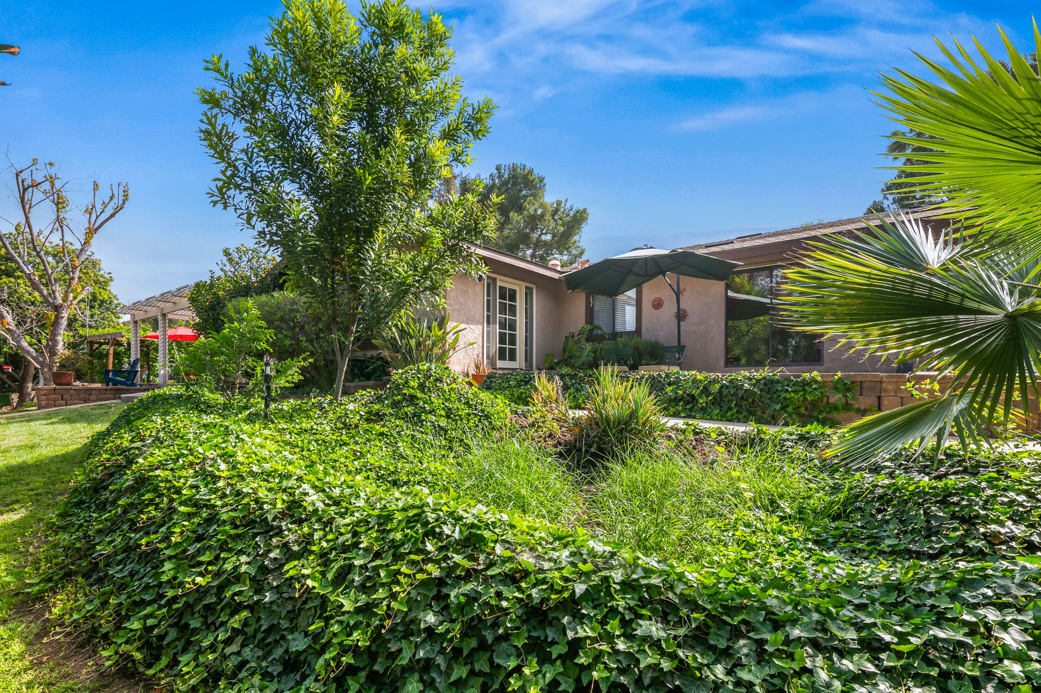 1646 E Tierra Libertia Rd-70