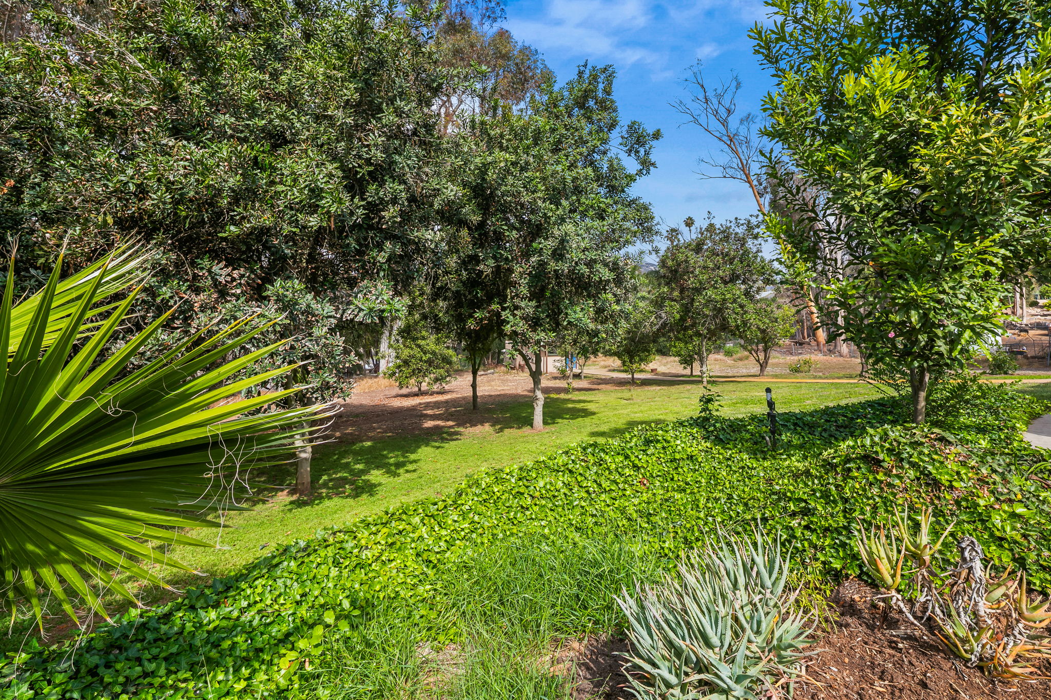 1646 E Tierra Libertia Rd-69